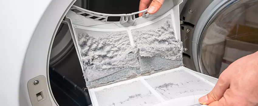 Best Dryer Lint Removal Company in Princeton, Florida