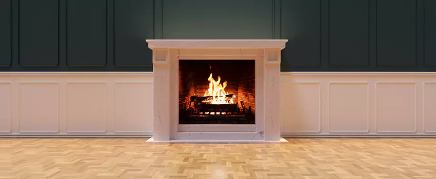 Napoleon Electric Fireplaces Inspection Service in Princeton, Florida