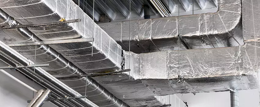 Vent Dust Cleaning Cost in Princeton, FL