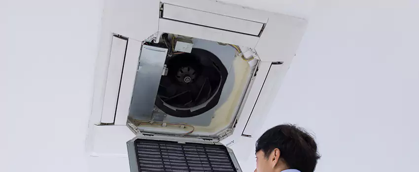 Benefits of Professional Air Duct Cleaning in Princeton, Florida