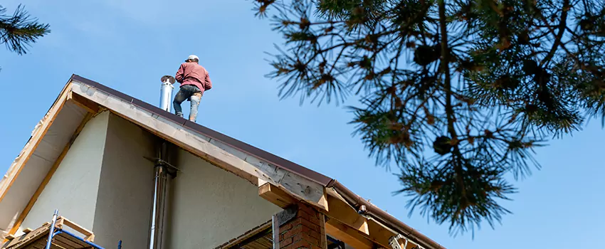 Birds Removal Contractors from Chimney in Princeton, FL