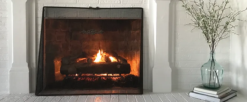 Cost-Effective Fireplace Mantel Inspection And Maintenance in Princeton, FL
